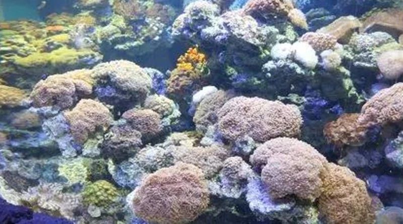 郑州韩式汗蒸馆胜地,郑州韩汤汇韩式汗蒸馆