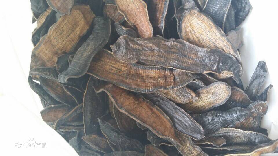 纵横古今谈中医活血化瘀药,活血化瘀中医知识