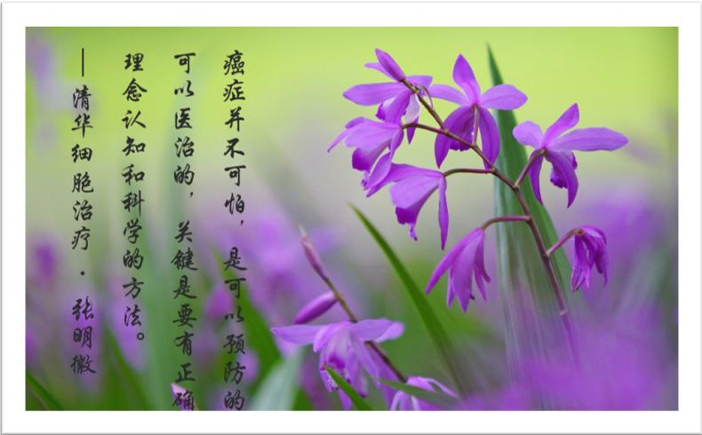 结肠癌肠系膜一个淋巴结转移,结肠癌腹膜后淋巴结转移有希望吗