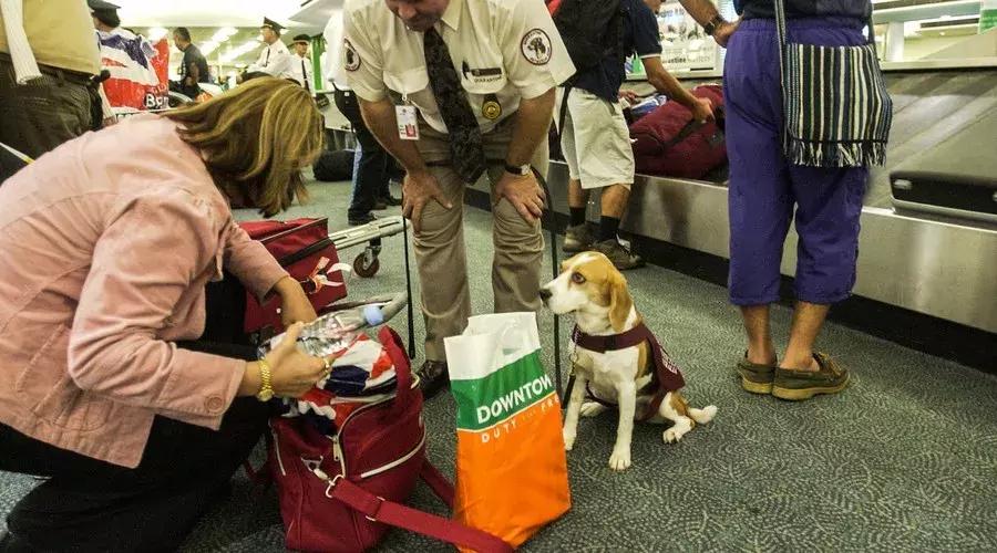 海淘购物被海关扣留,购物回国过海关攻略