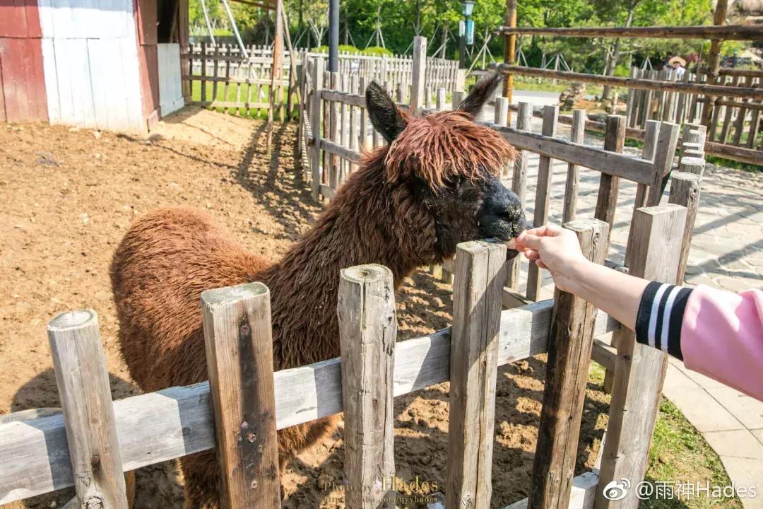 自驾游南京游玩攻略两日游带小孩,南京出发五一出游亲子游