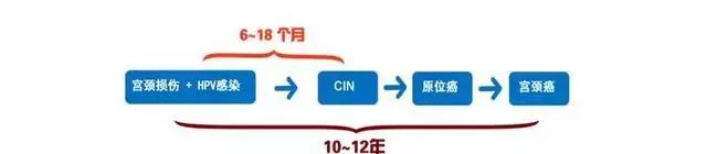 协和皮肤科专家：80%的HPV感染就像感冒，可自愈