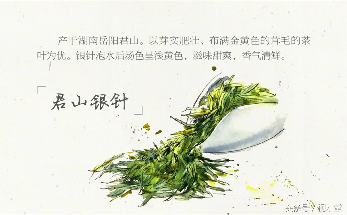 一张图读懂各种茶具,一张品茶实用图