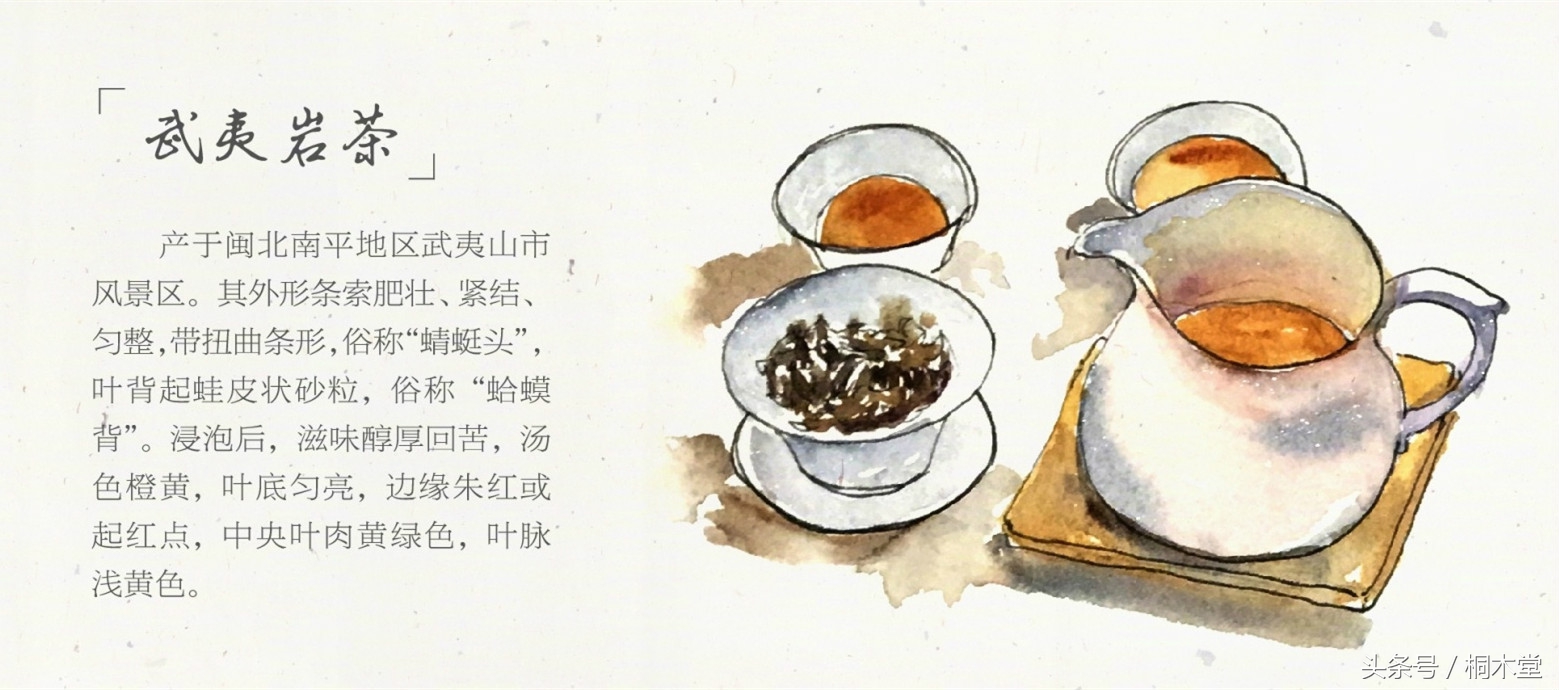 一张图读懂各种茶具,一张品茶实用图