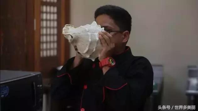 上海菲律宾菜餐厅,菲律宾餐饮特色有哪些菜