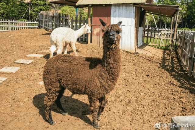 五一3天2夜南京周边旅游,自驾游南京游玩攻略两日游带小孩
