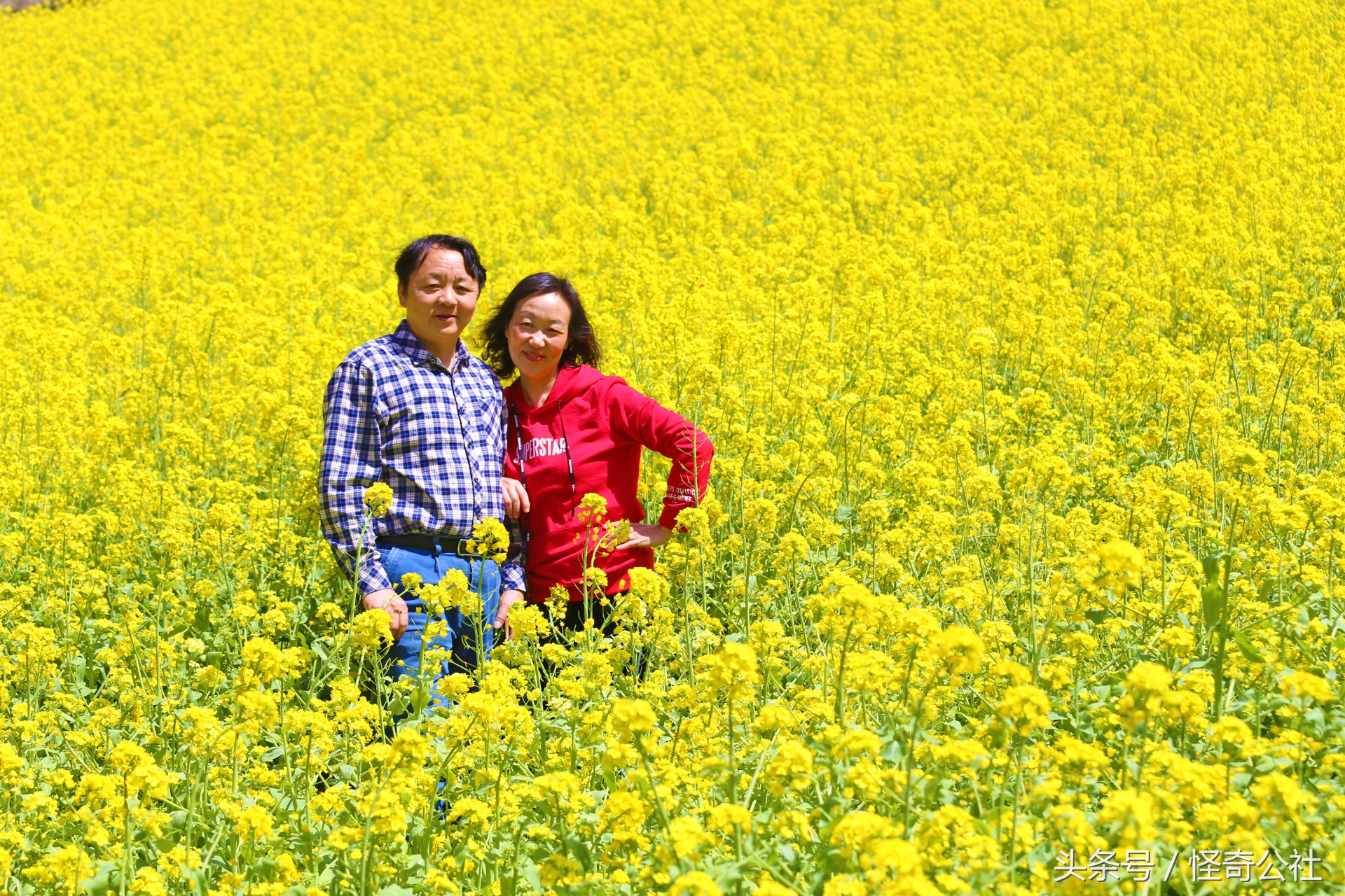 宜昌雾渡河石蛙养殖,石蛙养殖技术附近石蛙养殖基地