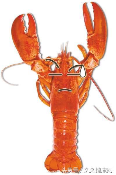 网红皮皮虾是怎么回事,网红皮皮虾被注明胶