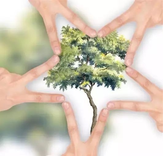 遇见幸福29集电视剧,遇见幸福31免费观看