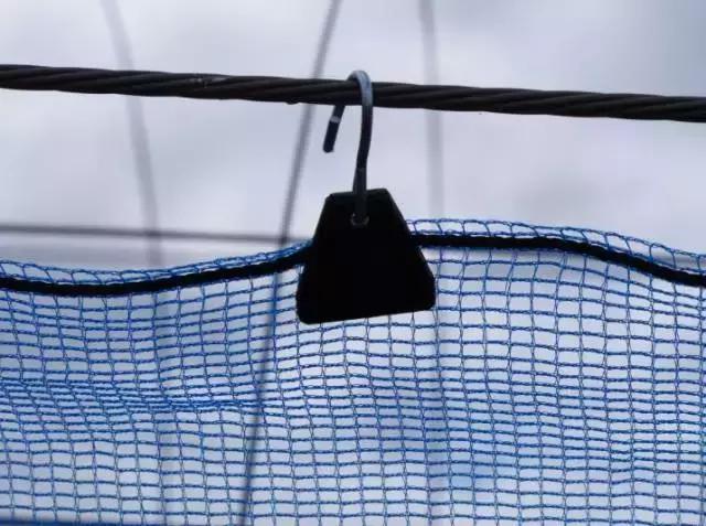 日本葡萄园种植技术,日本葡萄园的种植方法