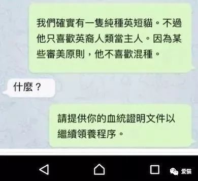 英短猫或蓝猫有没有可以领养的呀,英短猫可以领养吗