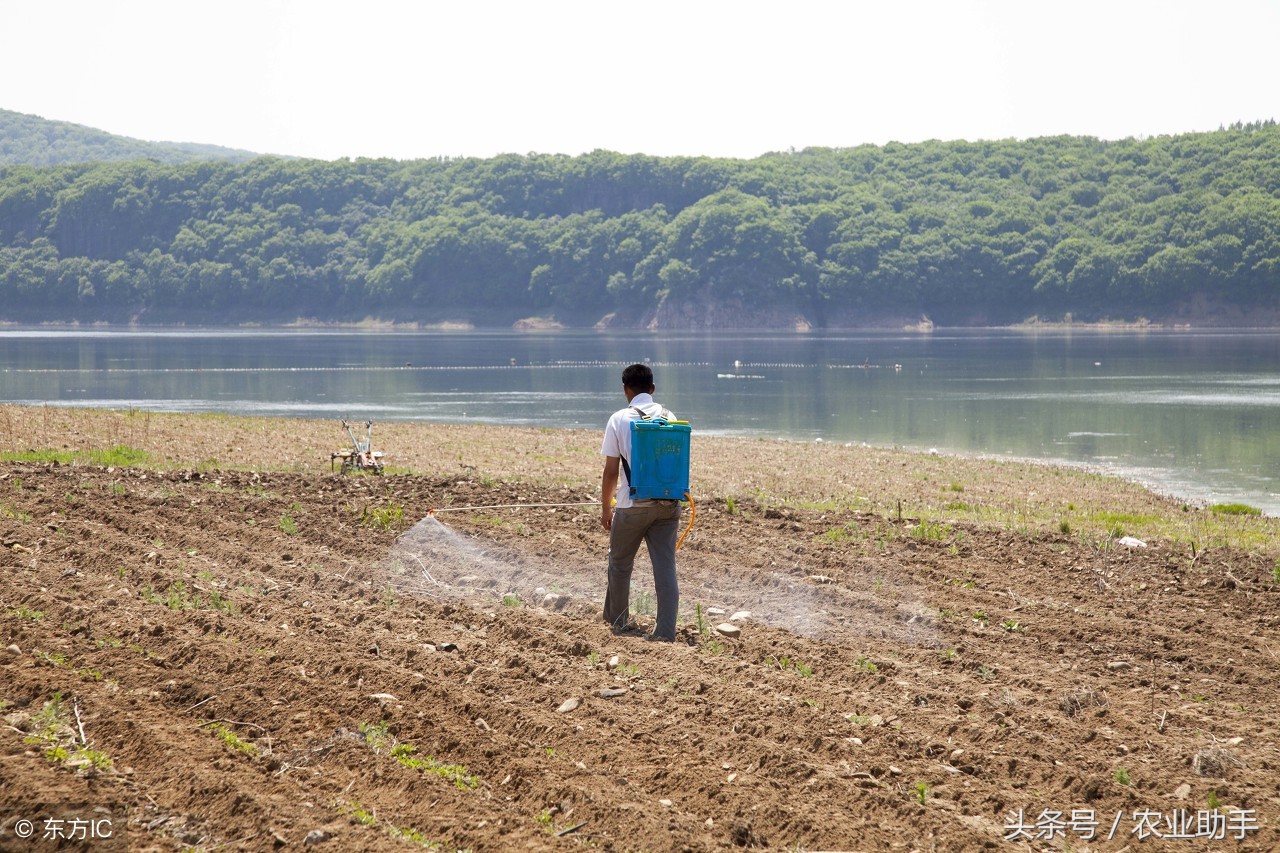 农达草甘磷是否可以与草胺磷混用,除草剂草铵膦与草甘膦有什么区别