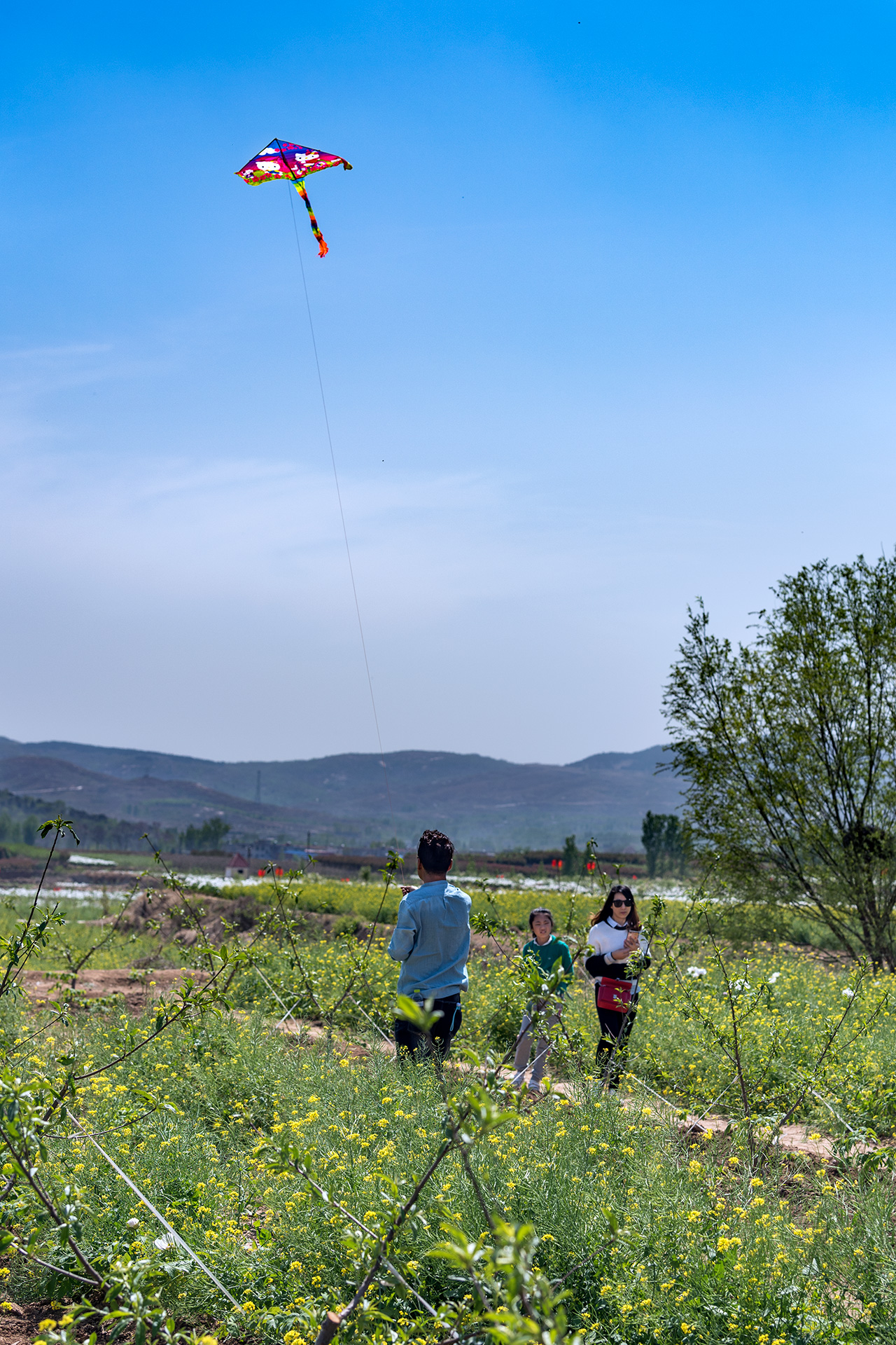 娴庡崡鐧捐姳浜夎壋,娴庡崡鏄ユ殩鑺卞紑楦熻鑺遍