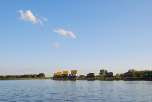 哈尔滨野狼湖，为东北最大的内陆平原湖，是野生狼栖息的天然场所