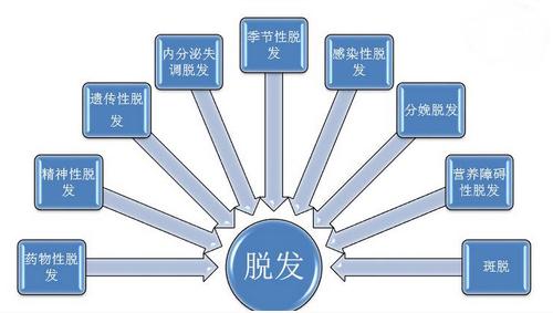 中医脱发专家,中医怎么治疗脱发求药方