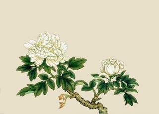 七律咏白牡丹,历代名家十首咏牡丹诗