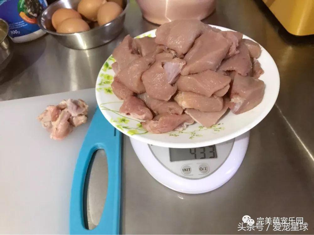 幼犬狗粮自制狗粮教程,怎么给狗自制狗粮器