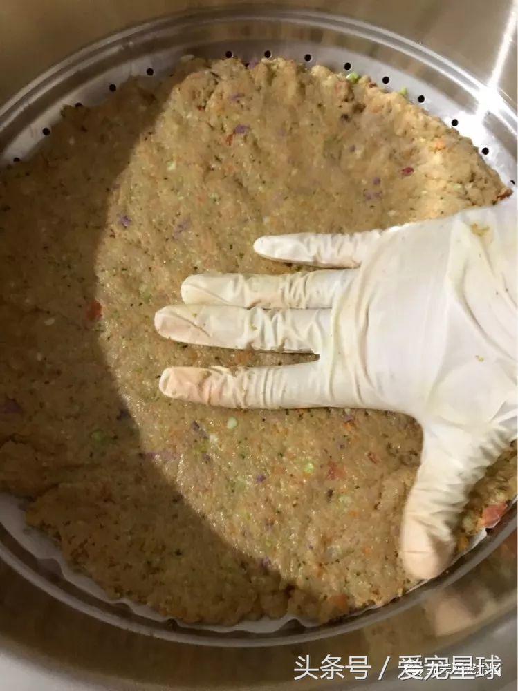 如何自制幼犬去泪痕狗粮视频教程,怎么给狗自制狗粮器