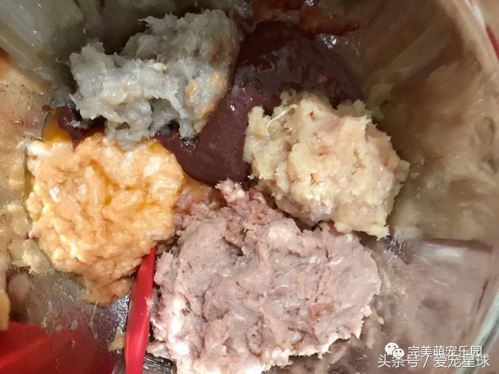 如何自制幼犬去泪痕狗粮视频教程,怎么给狗自制狗粮器