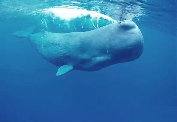 睡觉姿势有用的冷知识,一些冷知识有意思