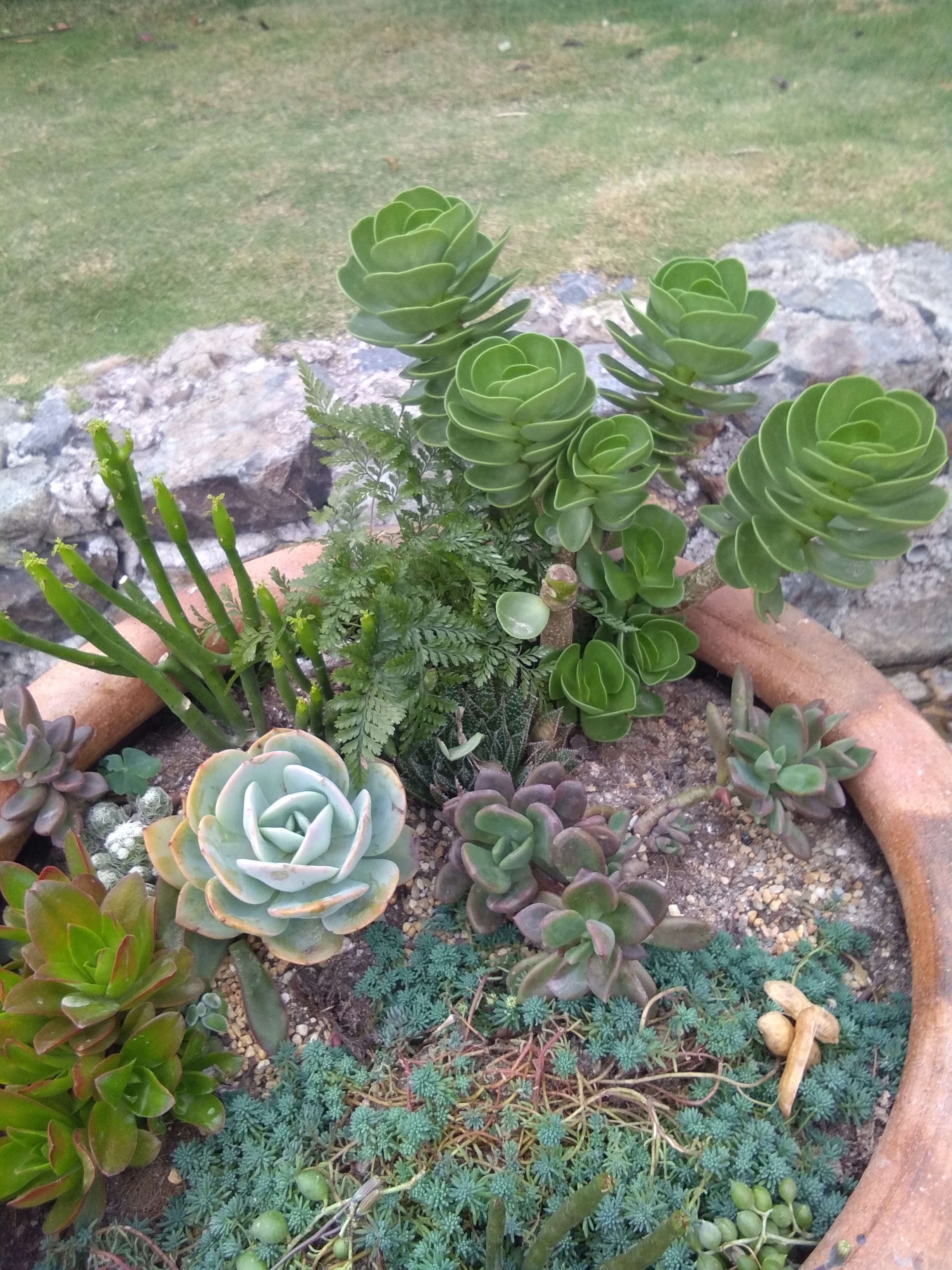 孩子在学校犯错家长检讨书,孩子在学校闯祸家长应该如何处理