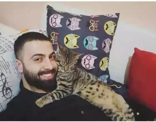 土耳其钢琴师小哥哥，人善心美，收留多只流浪猫而走红