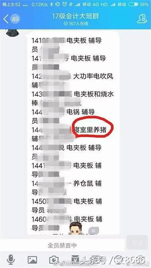 女大学生寝室养猪：确认过眼神，没想到遇上检查的人！