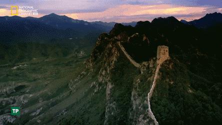 世界地球日，最适合孩子看的18部自然纪录片，趁周末，带娃看起来