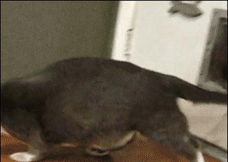 写给准备跳槽的前端,写给准备跳槽的文章