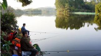 广西南宁钓鱼钓点,广西最新钓鱼技巧