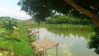 广西南宁钓鱼钓点,广西最新钓鱼技巧