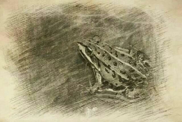 <html>
<head><title>502BadGateway</title></head>
<body>
<center><h1>502BadGateway</h1></center>
<hr><center>nginx</center>
</body>
</html>
<!--apaddingtodisableMSIEandChromefriendlyerrorpage-->
<!--apaddingtodisableMSIEandChromefriendlyerrorpage-->
<!--apaddingtodisableMSIEandChromefriendlyerrorpage-->
<!--apaddingtodisableMSIEandChromefriendlyerrorpage-->
<!--apaddingtodisableMSIEandChromefriendlyerrorpage-->
<!--apaddingtodisableMSIEandChromefriendlyerrorpage-->
