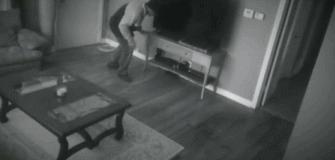 单身人士没有安全感？划重点，恶霸、德牧了解一下