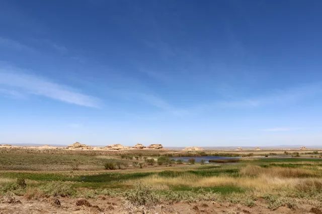 陶冶户外徒步戈壁,陶冶户外挑战无人区