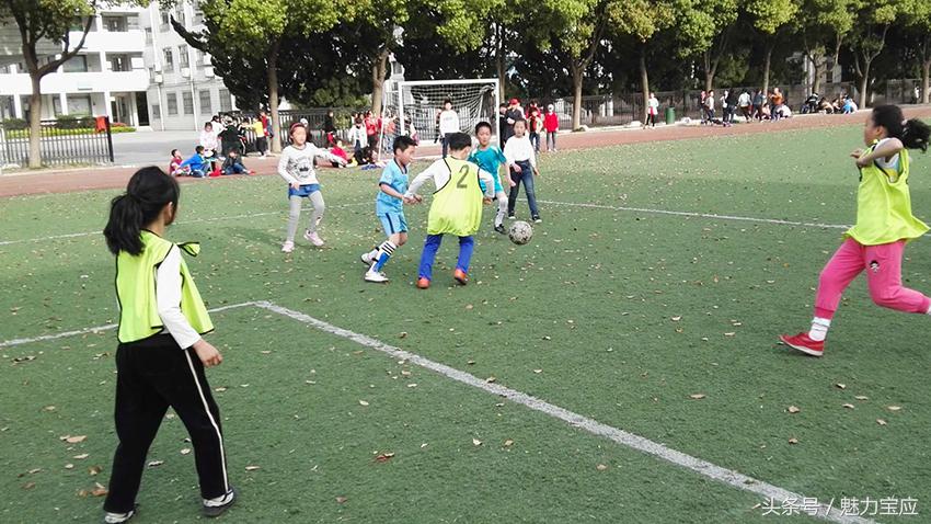 泰山区中小学生足球联赛,泰山区足球比赛中小学