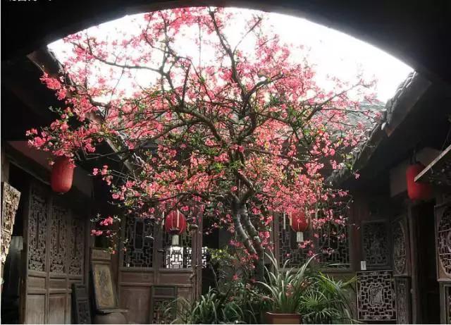 庭院风水知识100条,庭院风水知识