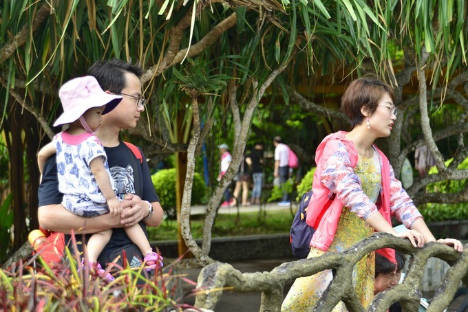 碧海蓝天椰风海韵旅行,碧海蓝天三亚亲子游攻略