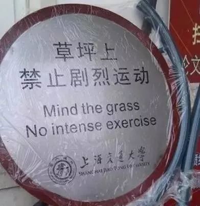 大学校园里面的石楠花,复旦石楠花