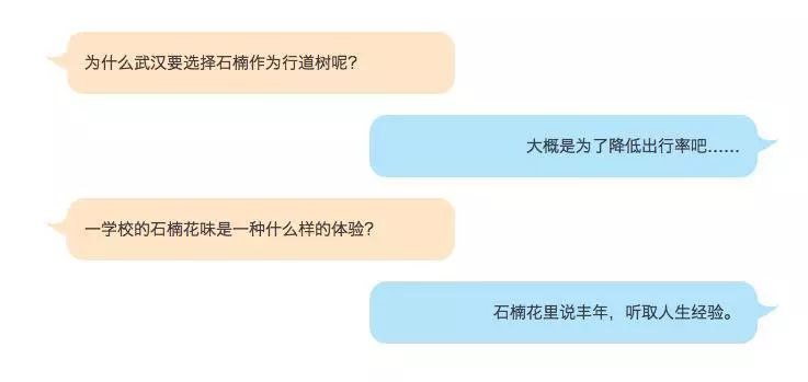 大学校园里面的石楠花,复旦石楠花