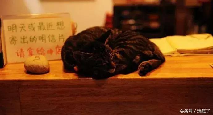 世界最美书店图片,世界最美书店在我们身边