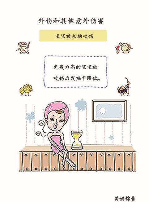 野外被动物咬伤的处理方法,被小动物咬伤的伤口怎么处理