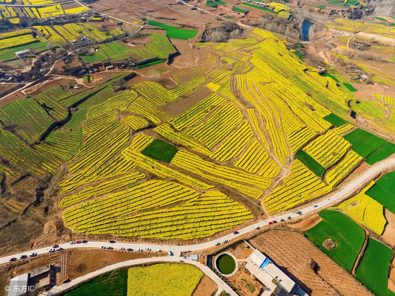 郑州又要搞事情！听说还请来了大飞机？二手玫瑰也有参与！