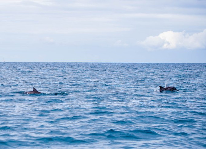 毛里求斯4天游攻略,毛里求斯自由行旅游攻略