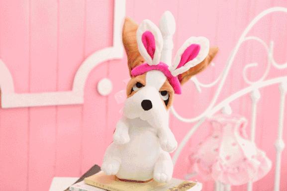 关于狗的歇后语或成语有哪些,关于狗的歇后语100句