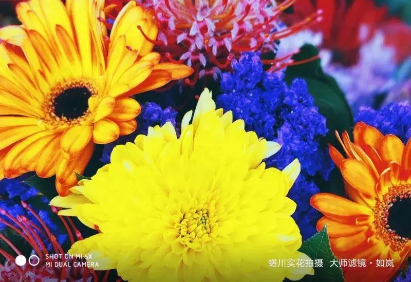 千元机拍照好的手机小米6x,最好的百元机小米6x