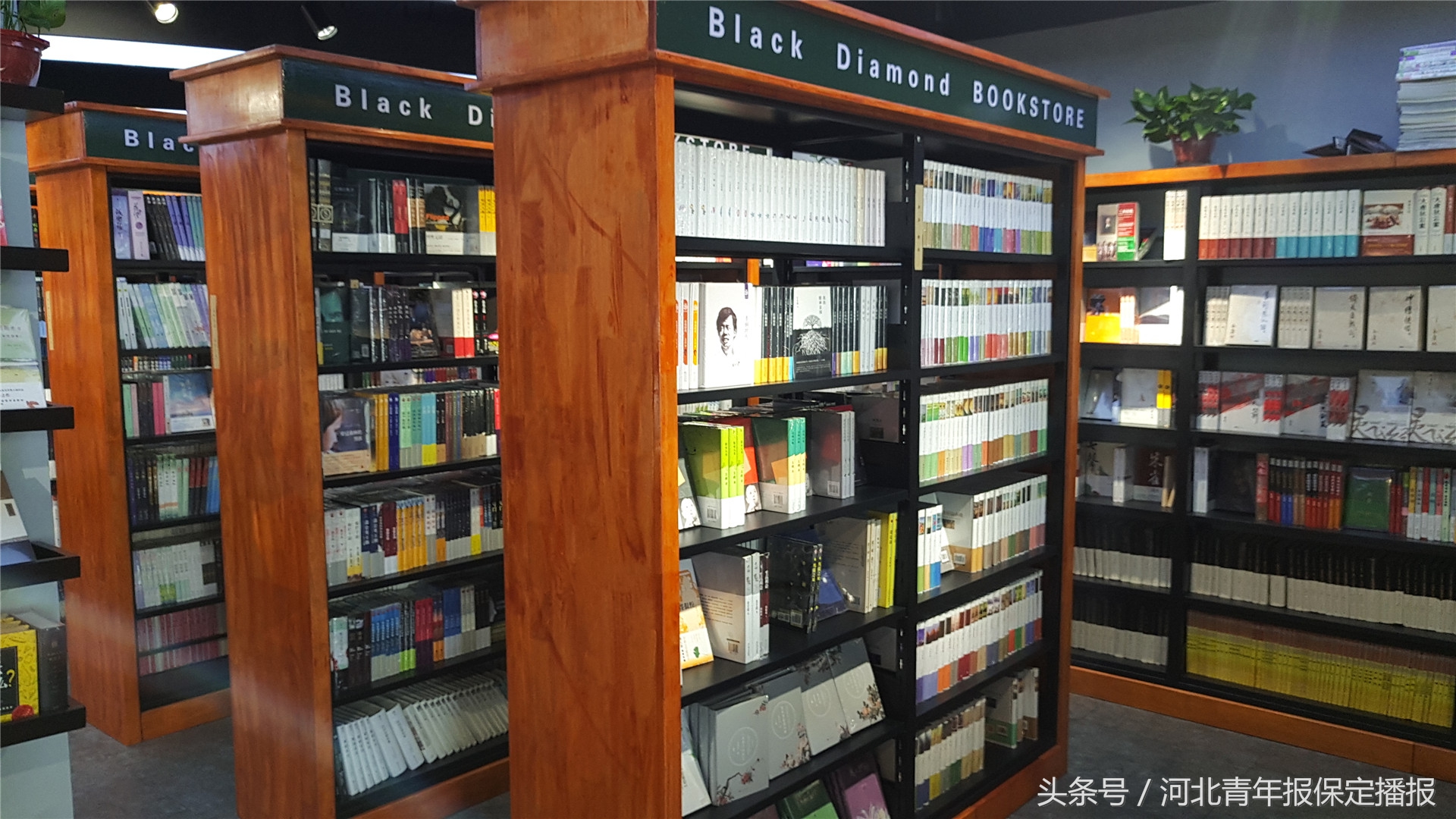 保定市书店现状,保定独立书店