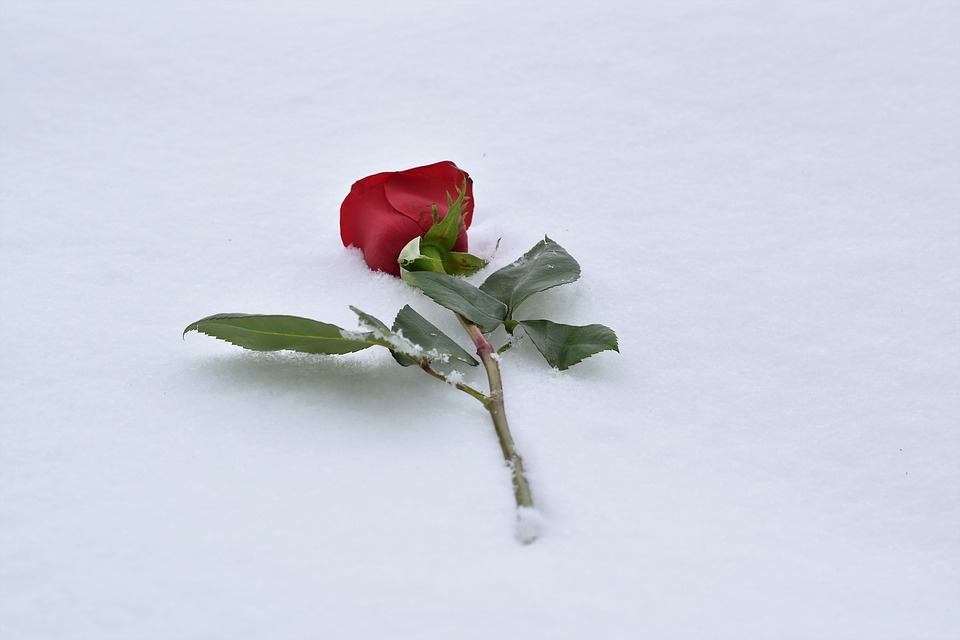 自从和婆婆住一起后矛盾,自从跟婆婆一起住感觉事事不顺