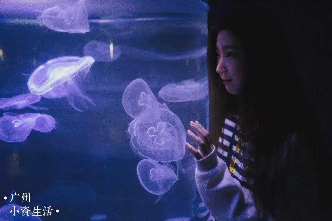 巴南海洋公园一日游攻略 (香港海洋公园游玩攻略)