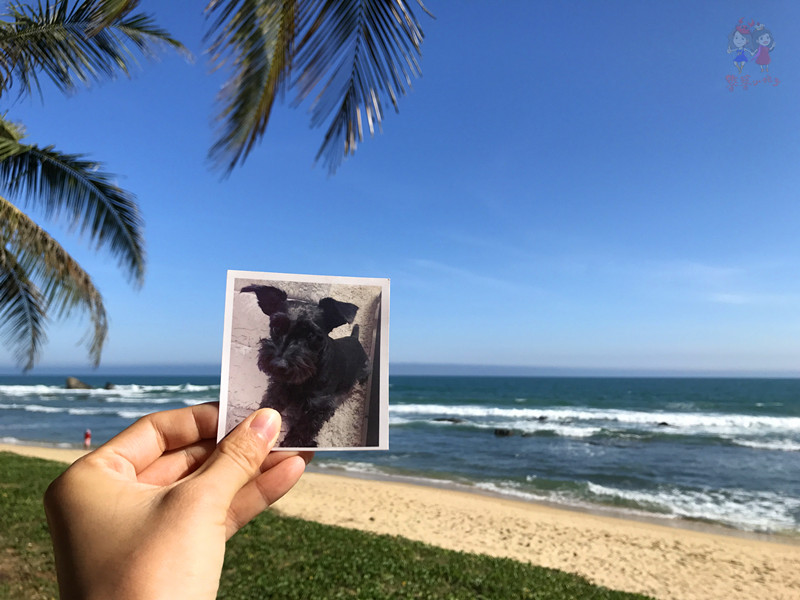 三亚非诚勿扰2拍摄点,非诚勿扰拍摄基地在三亚哪里