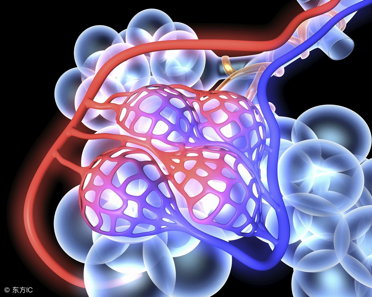 怎么判断肺大泡严不严重？不治疗会自愈吗？